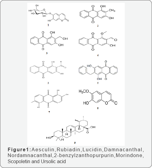 Click here to view Large Figure 1