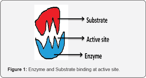 Click here to view Large Figure 1