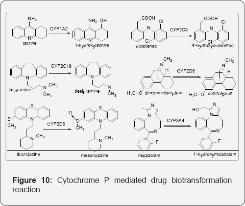 Click here to view Large Figure 10