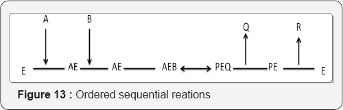 Click here to view Large Figure 13