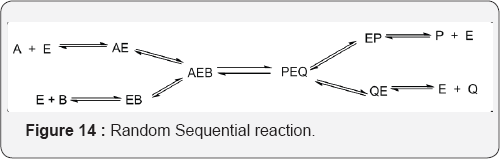 Click here to view Large Figure 14