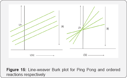 Click here to view Large Figure 15
