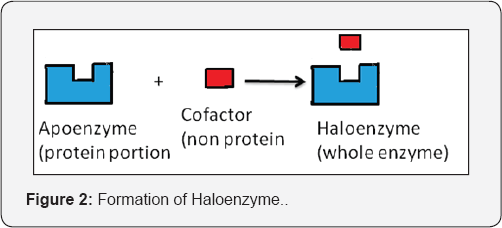 Click here to view Large Figure 2