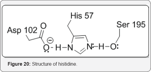 Click here to view Large Figure 20