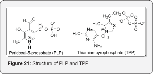 Click here to view Large Figure 21