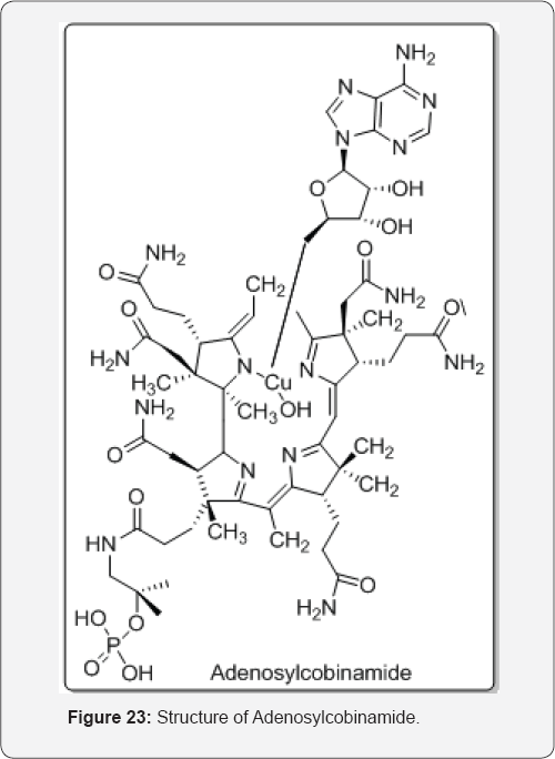 Click here to view Large Figure 23