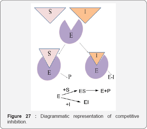 Click here to view Large Figure 27