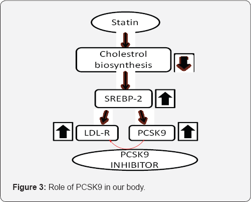 Click here to view Large Figure 3