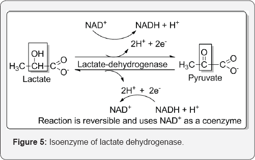 Click here to view Large Figure 5