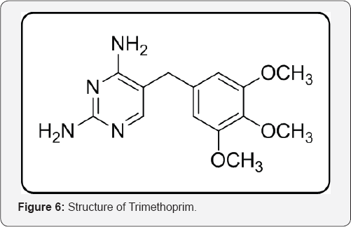 Click here to view Large Figure 6