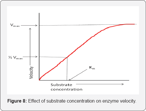 Click here to view Large Figure 8