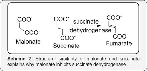 Click here to view Large Scheme 2