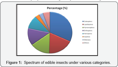 Click here to view Large Figure 1