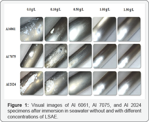 Click here to view Large Figure 1