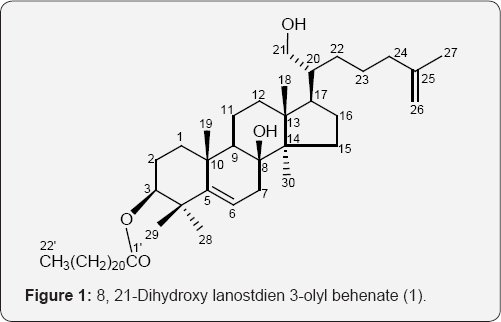 Click here to view Large Figure 1
