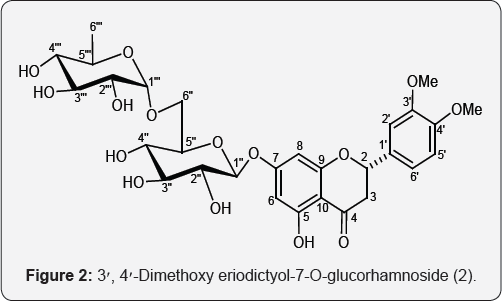 Click here to view Large Figure 2