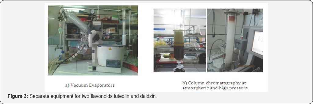 Click here to view Large Figure 1