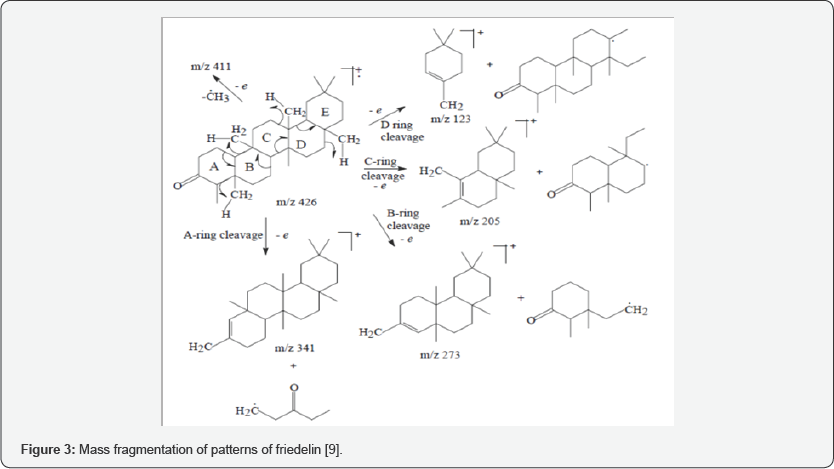 Click here to view Large Figure 3