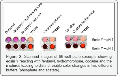 Click here to view Large Figure 2