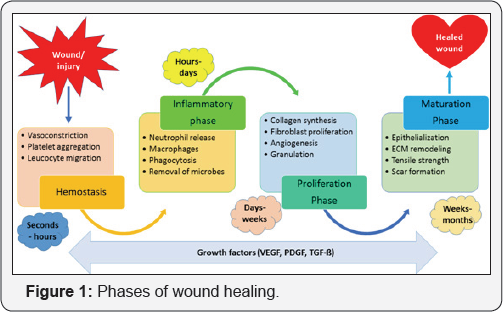 Click here to view Large Figure 1