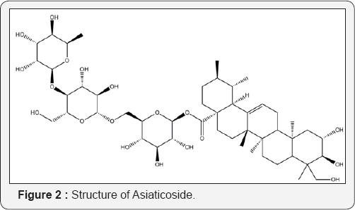 Click here to view Large Figure 2