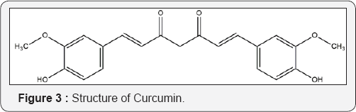 Click here to view Large Figure 3