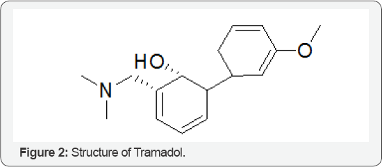 Click here to view Large Figure 2