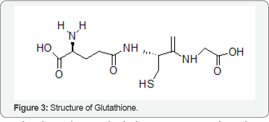 Click here to view Large Figure 3
