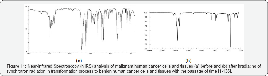 Click here to view Large Figure 11