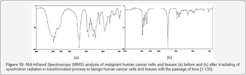 Click here to view Large Figure 12