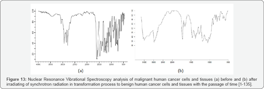 Click here to view Large Figure 13