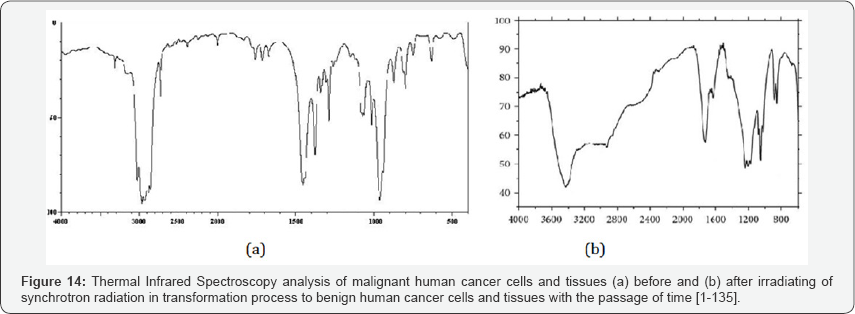 Click here to view Large Figure 14