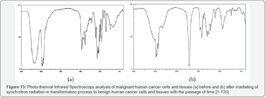 Click here to view Large Figure 15