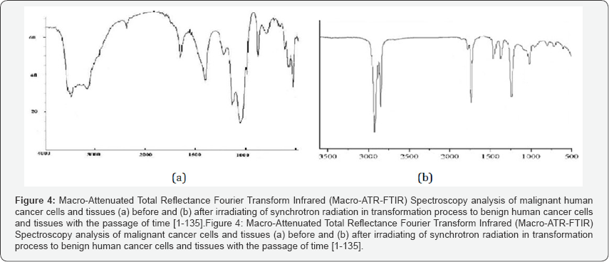 Click here to view Large Figure 4