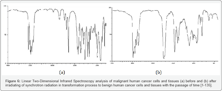 Click here to view Large Figure 6
