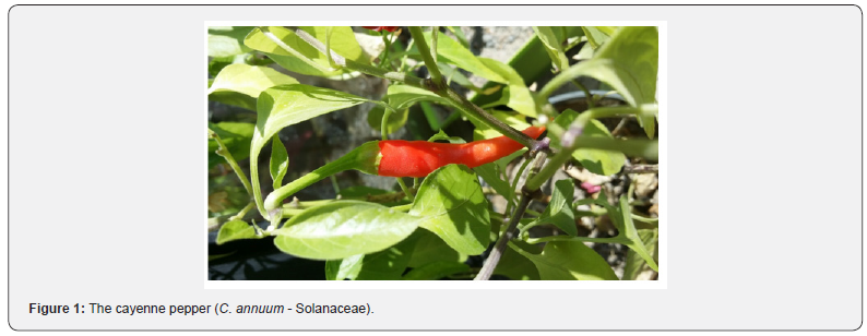 Click here to view Large Figure 1 Organic & Medicinal Chemistry International Journal