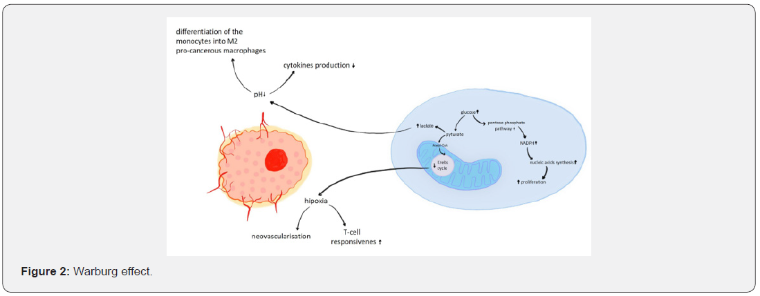 Click here to view Large Figure 2