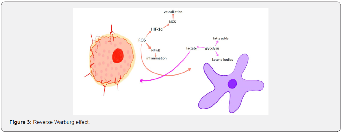 Click here to view Large Figure 3