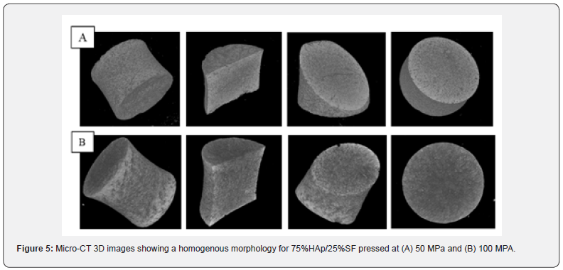 Click here to view Large Figure 5