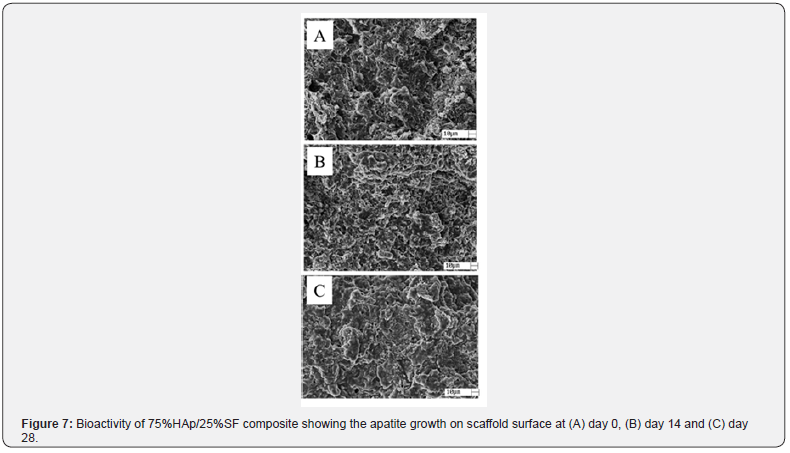 Click here to view Large Figure 7