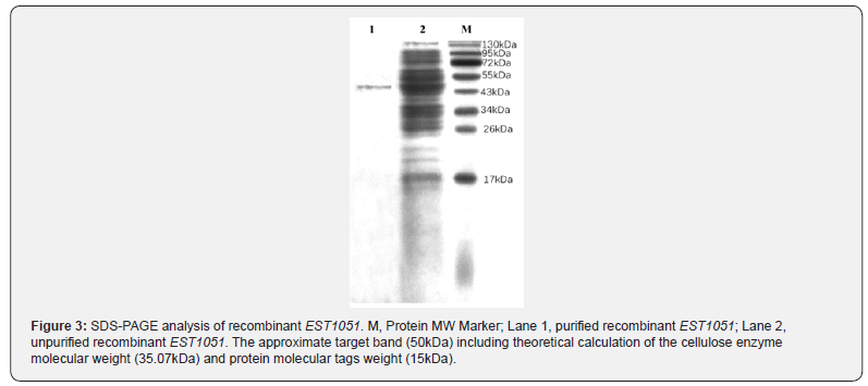 Click here to view Large Figure 3