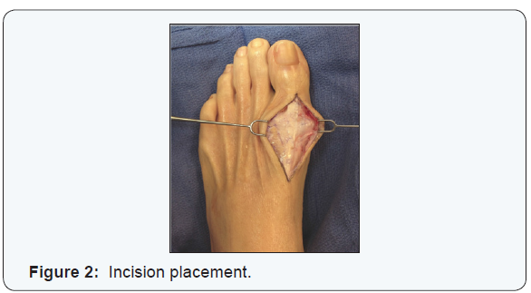 Click here to view Large Figure 3