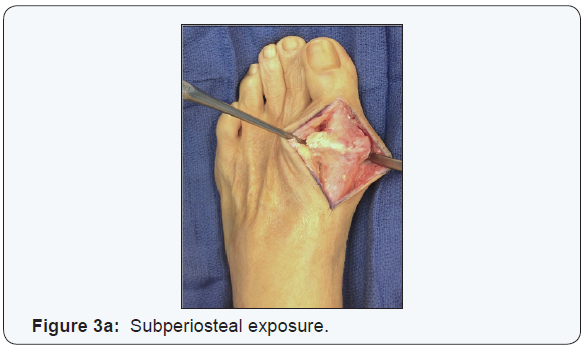 Click here to view Large Figure 3