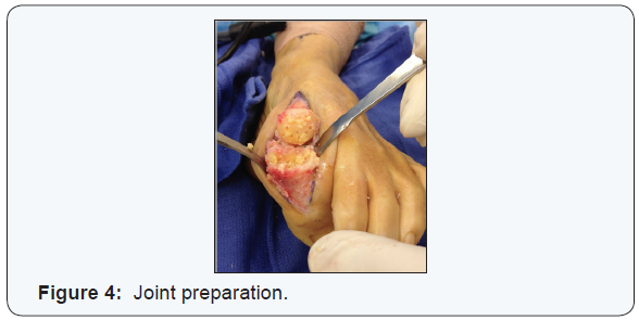 Click here to view Large Figure 3a