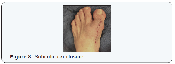 Click here to view Large Figure 6a