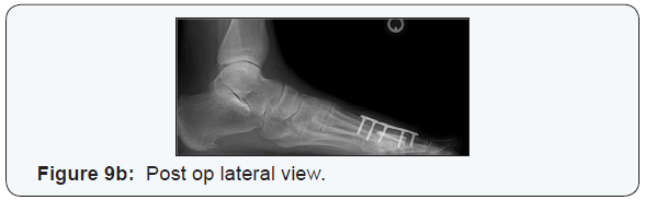 Click here to view Large Figure 6b