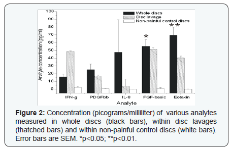 Click here to view Large Figure 2