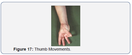 Click here to view Large Figure 17