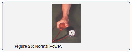 Click here to view Large Figure 20