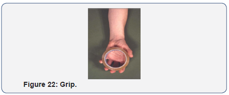 Click here to view Large Figure 22